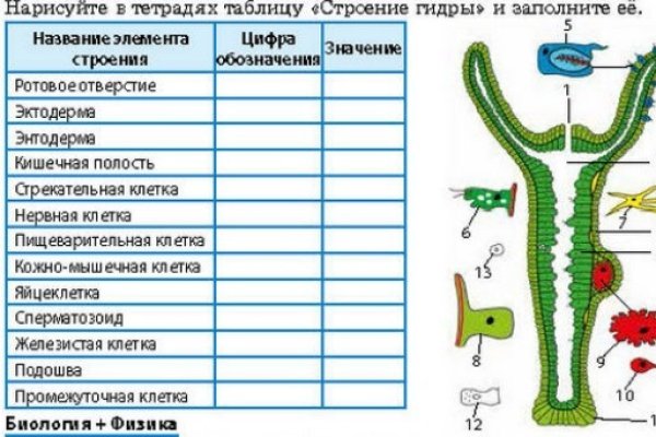 Кракен заблокировали