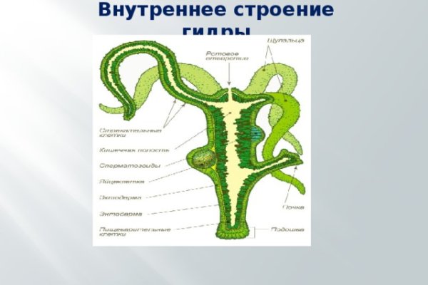 Кракен даркнет отменился заказ