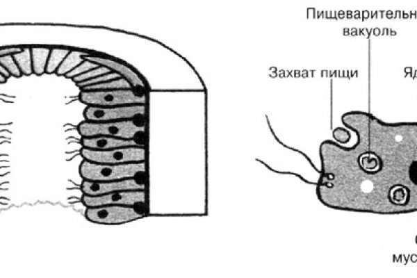 Кракен оф